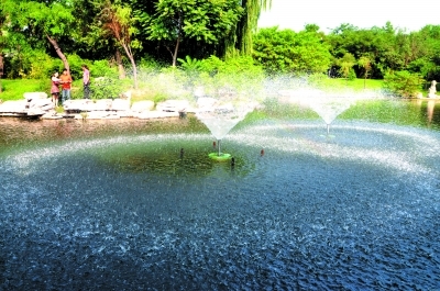 噴泉式曝氣機(jī) 環(huán)保與美觀的完美結(jié)合